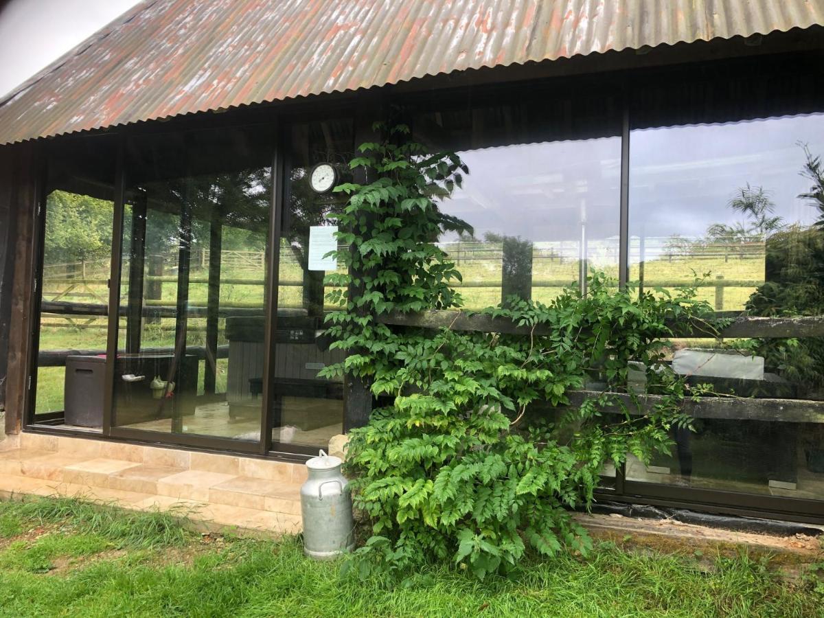 Le Champ Des Possibles Bed & Breakfast Manerbe Dış mekan fotoğraf
