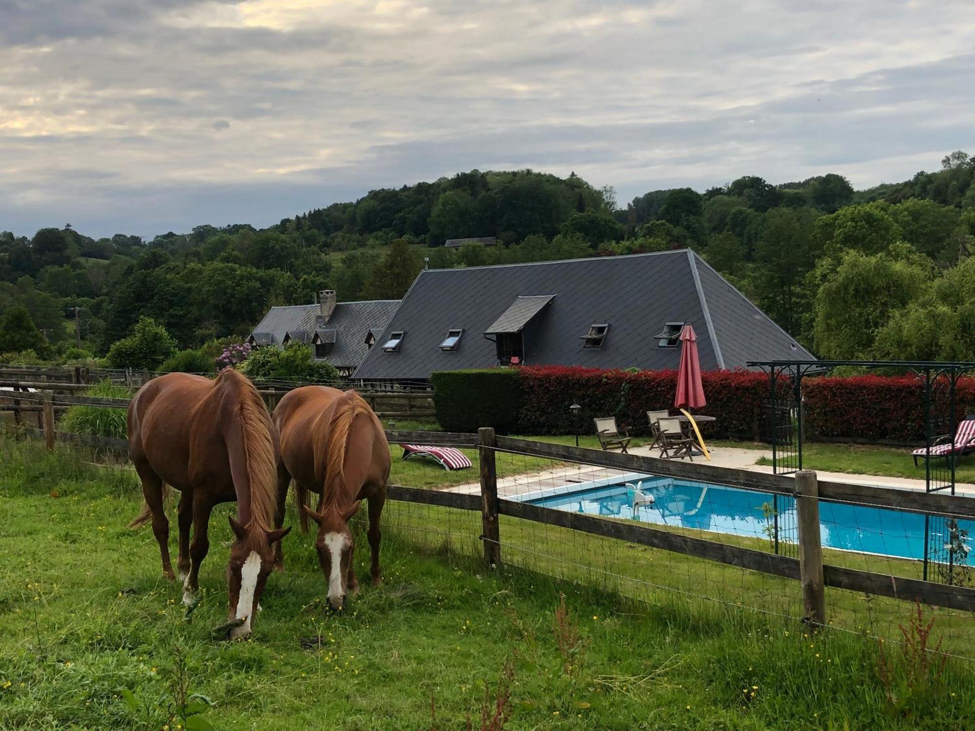 Le Champ Des Possibles Bed & Breakfast Manerbe Dış mekan fotoğraf